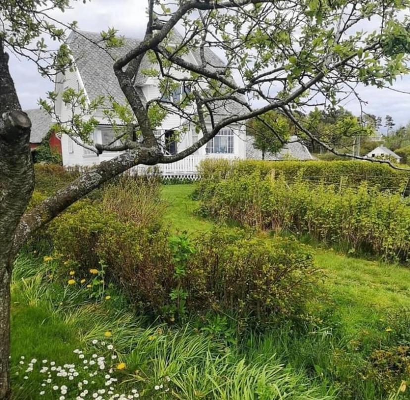Shared Farmhouse Stavanger Extérieur photo